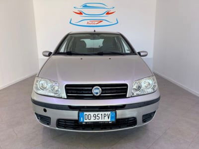 Fiat Punto 1.2 5 porte Dynamic usata