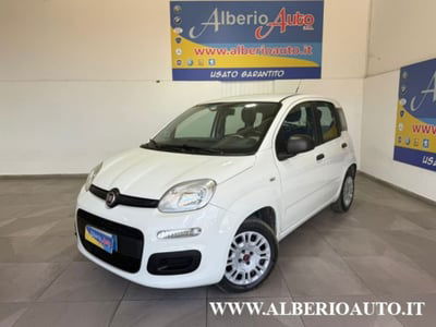 Fiat Panda 1.2 Easy usata