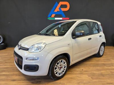 Fiat Panda 1.2 Lounge usata