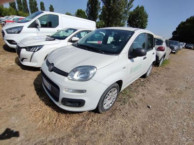 Fiat Panda 1.2 EasyPower usata