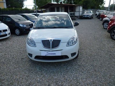 Lancia Ypsilon 1.2 69 CV Diva usata