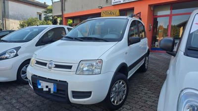 Fiat Panda 1.2 4x4 usata