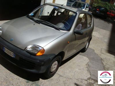 Fiat Seicento 900i cat Young