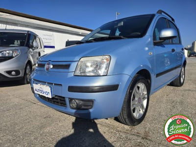 Fiat Panda 1.2 Dynamic usata