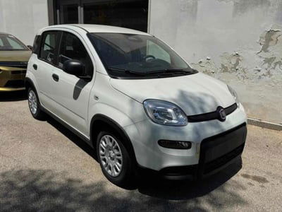 Fiat Panda 1.0 firefly hybrid s&s 70cv 5p.ti nuova