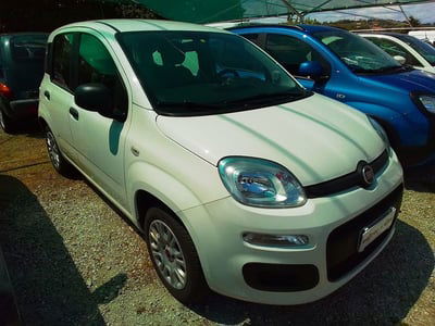 Fiat Panda 1.2 Easy usata
