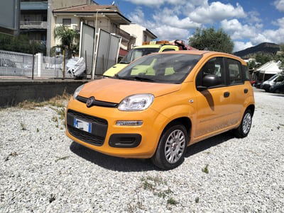Fiat Panda 1.2 Easy usata