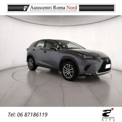 Lexus NX Hybrid 4WD Premium usata