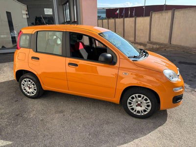 Fiat Panda 1.2 Easy usata