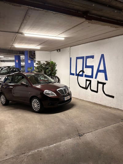 Lancia Ypsilon 1.4 Platino usata