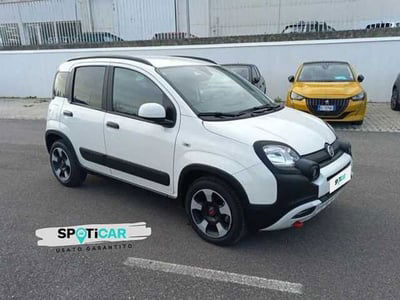 Fiat Panda Cross Cross 1.0 FireFly S&S Hybrid usata