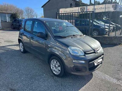 Fiat Panda 1.3 MJT 95 CV S&S Easy usata