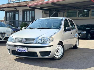 Fiat Punto Classic 1.2 5 porte Active usata