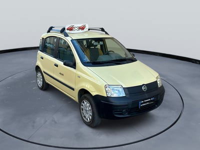 Fiat Panda 1.2 4x4 usata