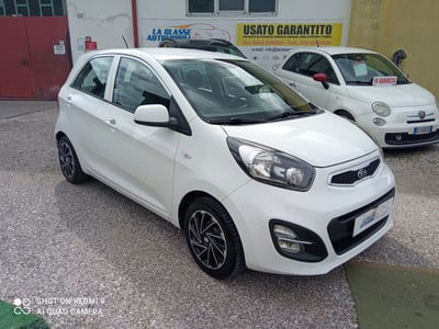 Kia Picanto 1.0 12V EcoGPL 5 porte City usata