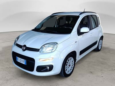 Fiat Panda 1.2 Easy usata