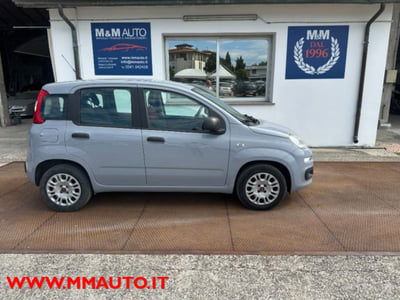 Fiat Panda 1.2 Easy usata