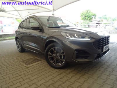 Ford Kuga 1.5 EcoBoost 150 CV 2WD ST-Line usata