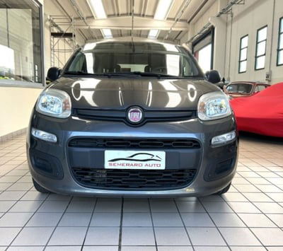 Fiat Panda 1.2 EasyPower Easy usata