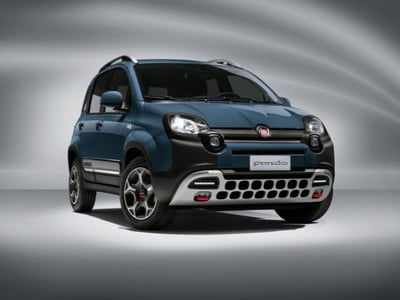 Fiat Panda Cross Cross 0.9 TwinAir Turbo Natural Power usata