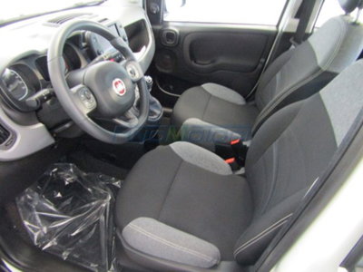 Fiat Panda 1.0 firefly hybrid s&s 70cv 5p.ti (7)