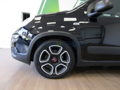 Fiat Panda 1.0 firefly hybrid s&s 70cv 5p.ti (3)