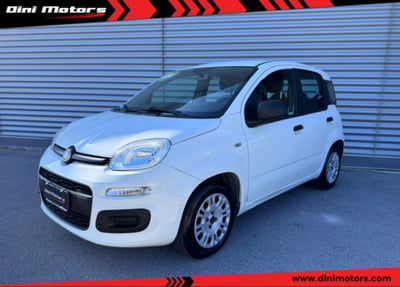 Fiat Panda 1.2 EasyPower Sport usata