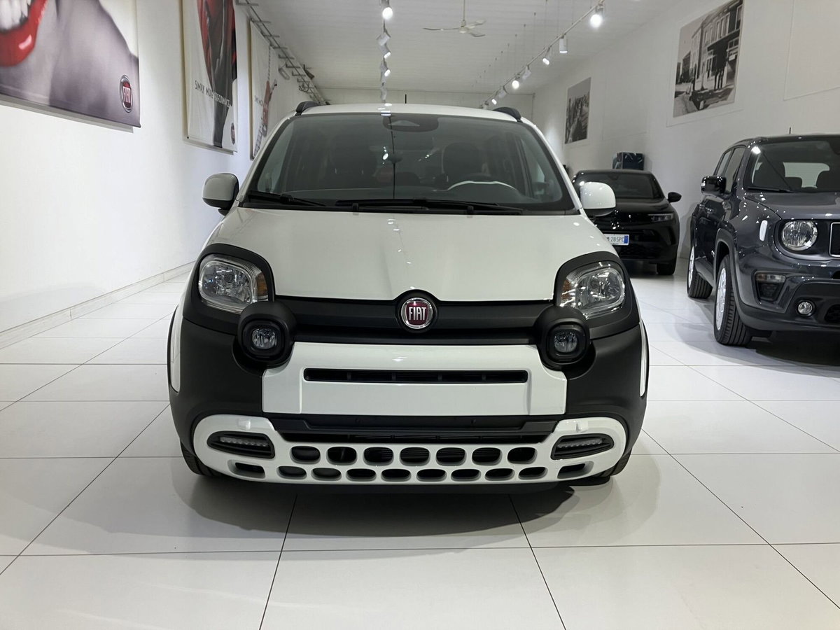 Fiat Panda Cross Cross 1.0 FireFly S&S Hybrid (2)