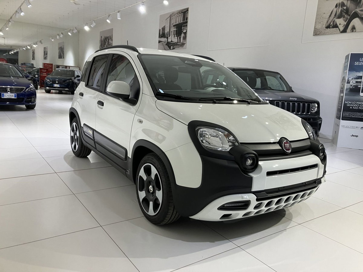 Fiat Panda Cross Cross 1.0 FireFly S&S Hybrid (3)