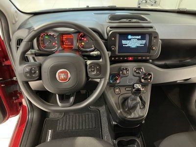 Fiat Panda Cross Cross 1.0 FireFly S&S Hybrid (7)