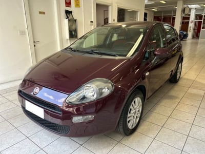Fiat Punto 1.4 8V 5 porte Easypower Easy usata