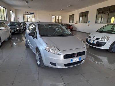 Fiat Punto 1.2 8V 5 porte Lounge usata