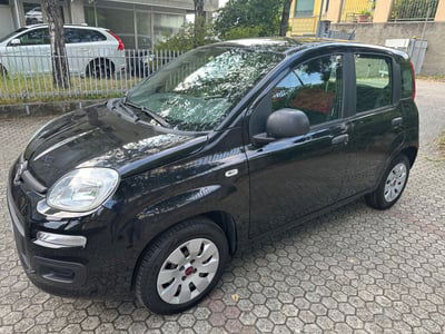 Fiat Panda 1.2 Lounge usata