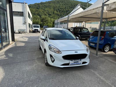 Ford Fiesta 1.1 75 CV GPL 5 porte Business usata