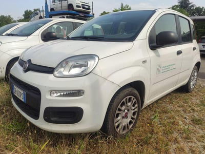 Fiat Panda 1.2 EasyPower Sport usata