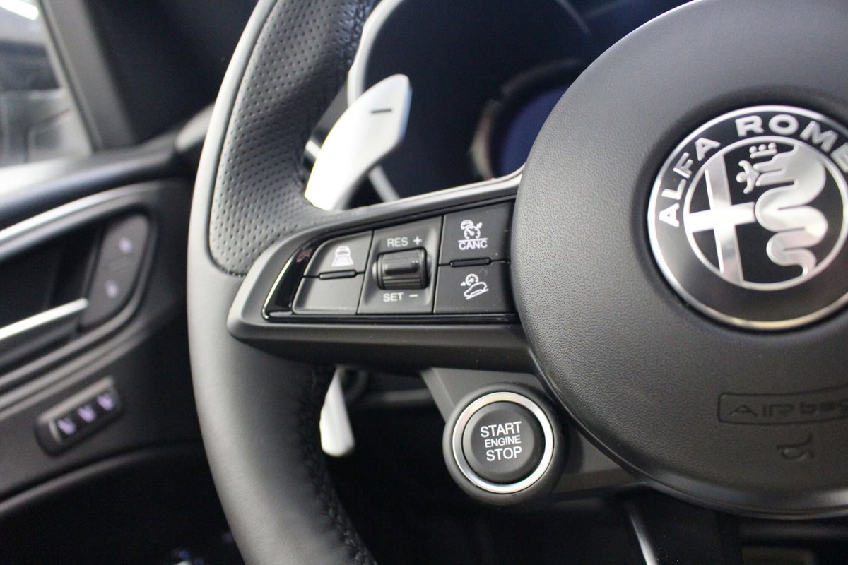 Alfa Romeo Stelvio Stelvio 2.2 Turbodiesel 210 CV AT8 Q4 Veloce (12)