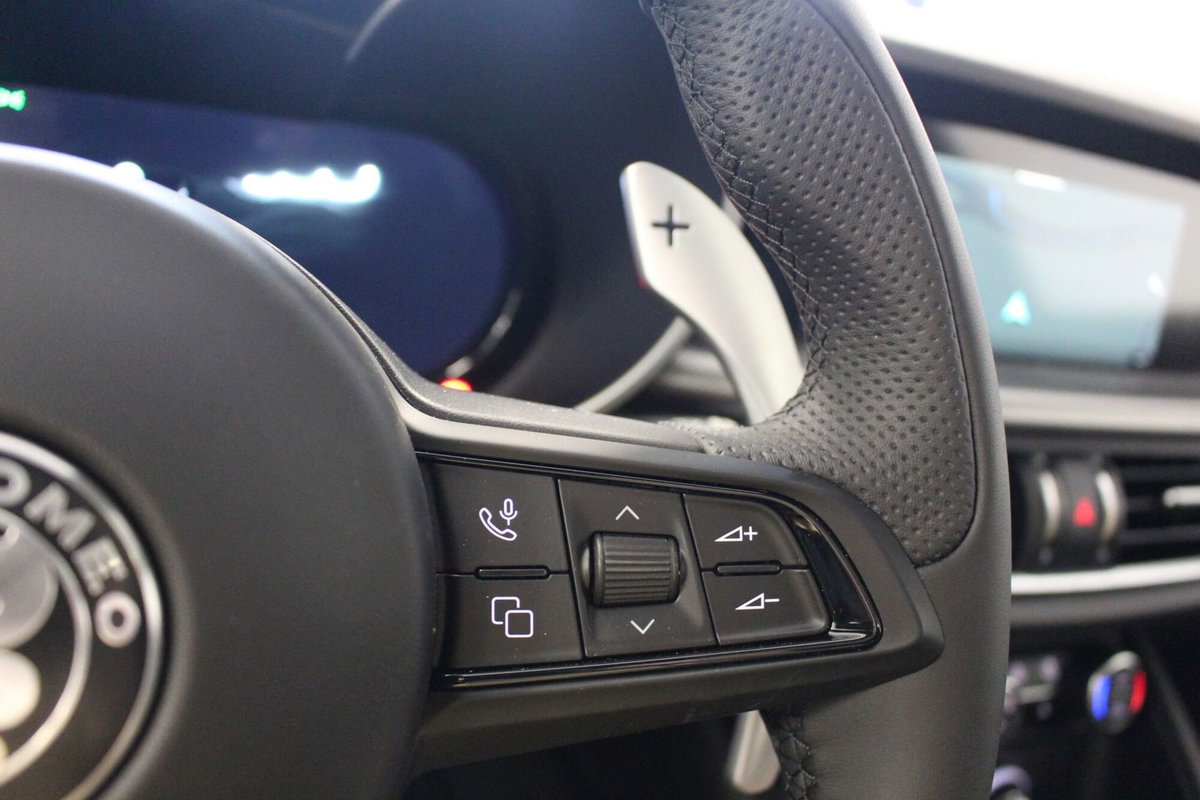 Alfa Romeo Stelvio Stelvio 2.2 Turbodiesel 210 CV AT8 Q4 Veloce (13)