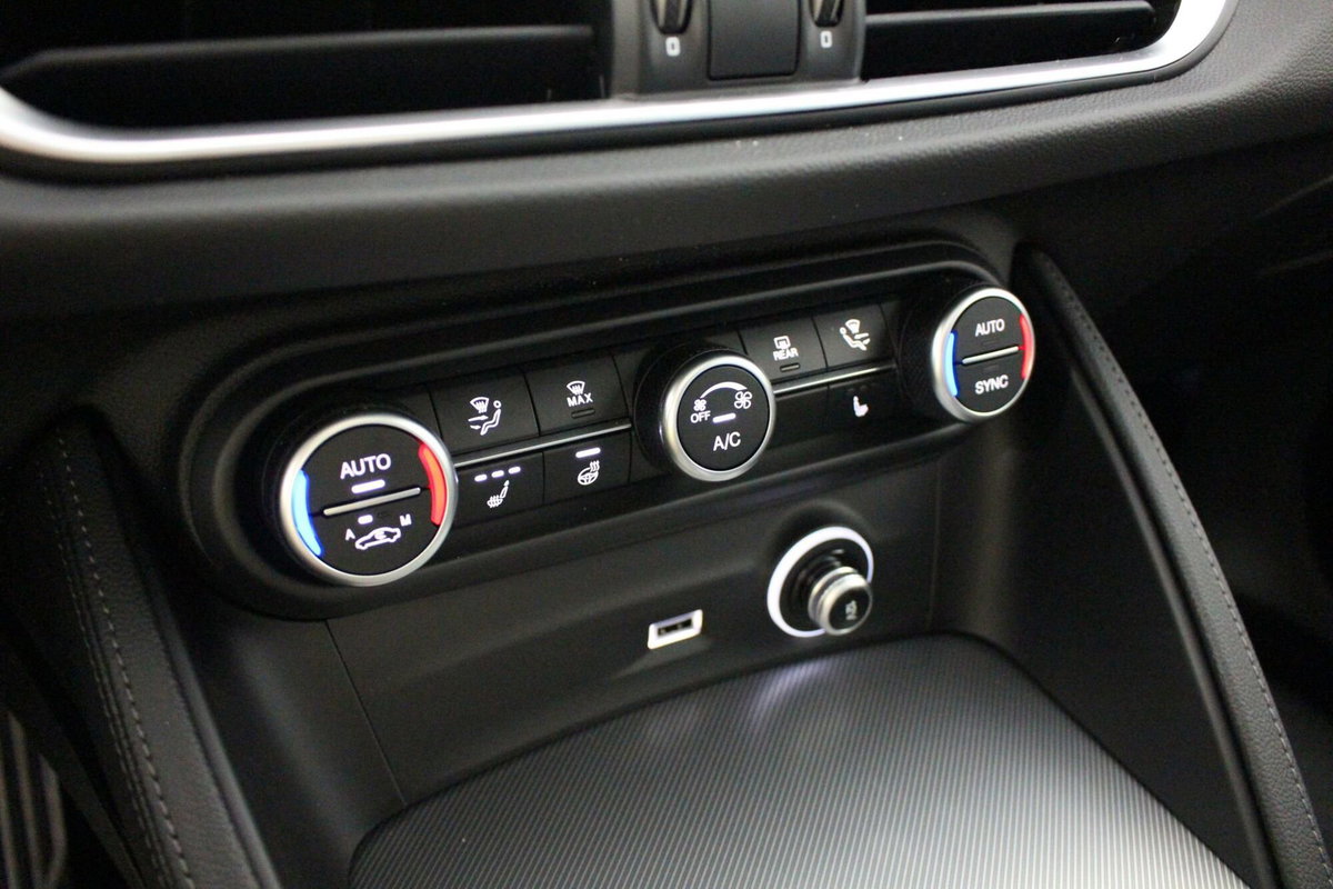 Alfa Romeo Stelvio Stelvio 2.2 Turbodiesel 210 CV AT8 Q4 Veloce (15)