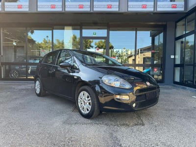 Fiat Punto 1.2 8V 5 porte Lounge usata
