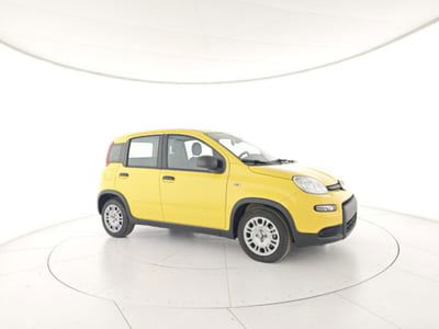 Fiat Panda 1.0 firefly hybrid s&s 70cv 5p.ti nuova