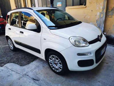 Fiat Panda 1.2 Lounge usata