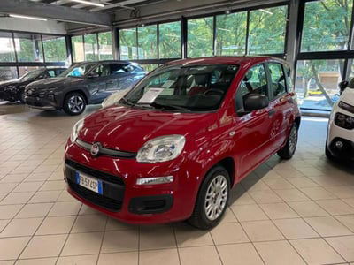 Fiat Panda 1.2 Easy usata