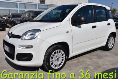 Fiat Panda 1.2 Easy usata