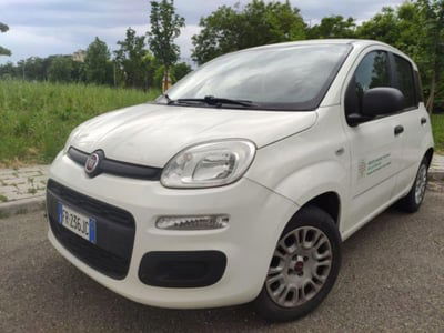 Fiat Panda 1.2 EasyPower Easy usata