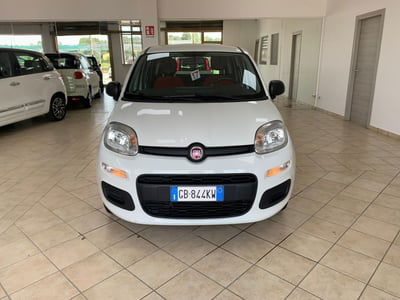 Fiat Panda 1.2 Pop usata