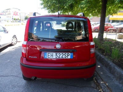 Fiat Panda 1.2 Active usata