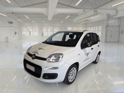Fiat Panda 1.2 Easy usata