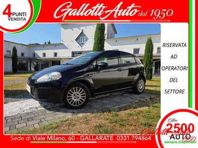 Fiat Punto 1.2 8V 5 porte Street usata