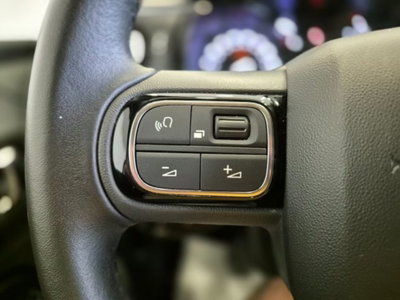Citroen C3 Aircross 1.2 puretech Max s&s 110cv (17)