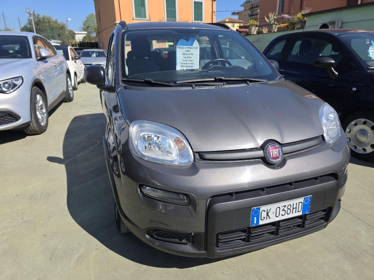 Fiat Panda 1.0 FireFly S&S Hybrid City Cross (2)